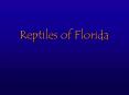 Reptiles of Florida PowerPoint PPT Presentation