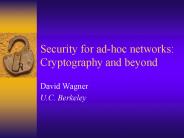 Security for ad-hoc networks: Cryptography and beyond