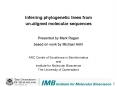 Inferring phylogenetic trees from unaligned molecular sequences PowerPoint PPT Presentation