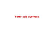 Fatty acid Synthesis