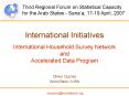 International Initiatives International Household Survey Network and Accelerated Data Program PowerPoint PPT Presentation