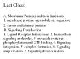 Last%20Class:%20%20A.%20Membrane%20Proteins%20and%20their%20functions%201.%20membrane%20proteins%20are%20mobile%20yet%20organized%202.%20carrier%20and%20channel%20proteins%20%20B.%20Signaling%20Transduction%201.%20Ligand%20Receptor%20Interactions,%202.%20Intracellular%20signaling%20molecules,%203.%20molecule%20switches: PowerPoint PPT Presentation