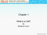 What is a Cell?