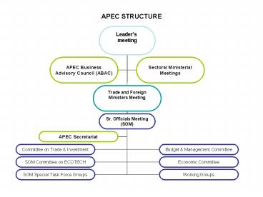 APEC STRUCTURE