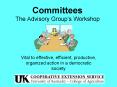 Committees The Advisory Group PowerPoint PPT Presentation