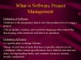 What is Software Project Management PowerPoint PPT Presentation