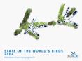 The spectacular migration pathways of seven migrant bird species PowerPoint PPT Presentation