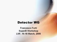 Detector WG