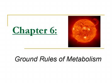 Ground Rules of Metabolism