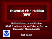Essential Fish Habitat (EFH)