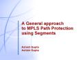 A General approach to MPLS Path Protection using Segments PowerPoint PPT Presentation