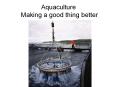 Aquaculture Making a good thing better PowerPoint PPT Presentation