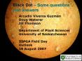 Black Dot Some questions and answers PowerPoint PPT Presentation