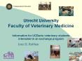 Utrecht University Faculty of Veterinary Medicine Information for UCDavis veterinary students intere PowerPoint PPT Presentation