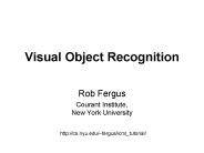 Visual Object Recognition