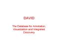DAVID PowerPoint PPT Presentation