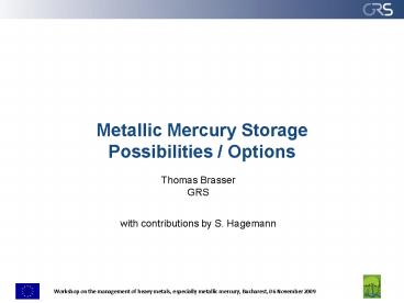 Metallic Mercury Storage Possibilities Options