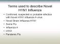Terms used to describe Novel H1N1 Influenza PowerPoint PPT Presentation