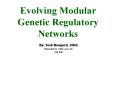 Evolving Modular Genetic Regulatory Networks PowerPoint PPT Presentation