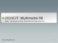 2533CIT: Multimedia IIB PowerPoint PPT Presentation