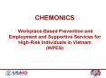 CHEMONICS WorkplaceBased Prevention and Employment and Supportive Services for HighRisk Individuals PowerPoint PPT Presentation