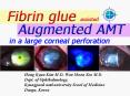 Fibrin glue assisted Augmented AMT in a arge corneal perforation PowerPoint PPT Presentation