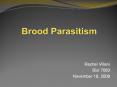 Brood Parasitism PowerPoint PPT Presentation