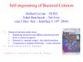 Self-engineering of Bacterial Colonies  Herbert Levine  PowerPoint PPT Presentation