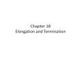 Chapter 18 Elongation and Termination PowerPoint PPT Presentation