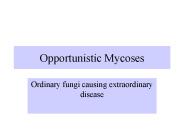 Opportunistic Mycoses
