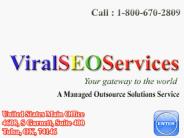Professional SEO Company