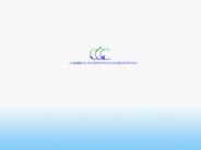 Caribbean Governance Consultants (CGC) Inc