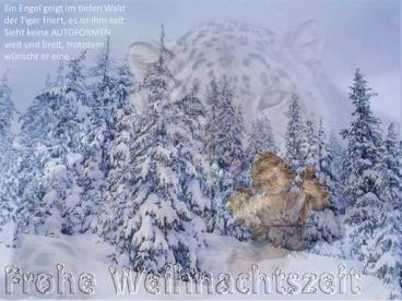 Weihnachtsgruss2009II