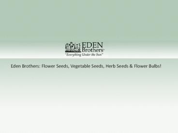 Seeds & Flower Bulbs At Affordable Price â Eden Brothers