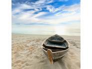 Pictures from Around the World