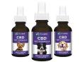 Buy CBD Products | Pure CBD Oil | CBD Hemp Store