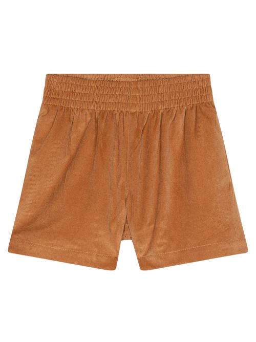 Pantaloncini In Velluto ATIVO | ND782444