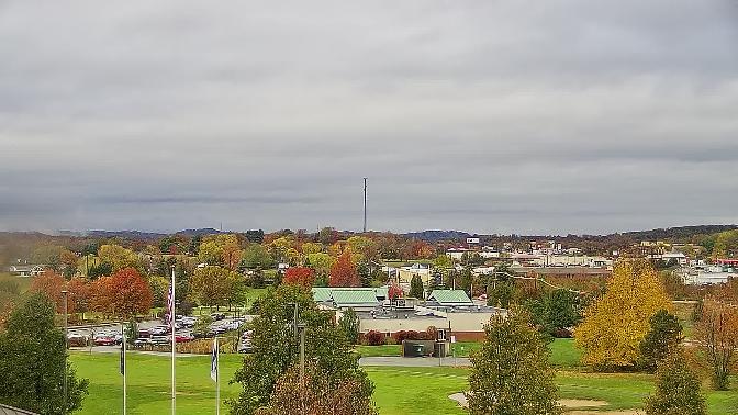 Image Currently Down