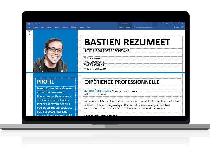 Bayview - Modèle de CV élégant clairement organisé avec des tableaux