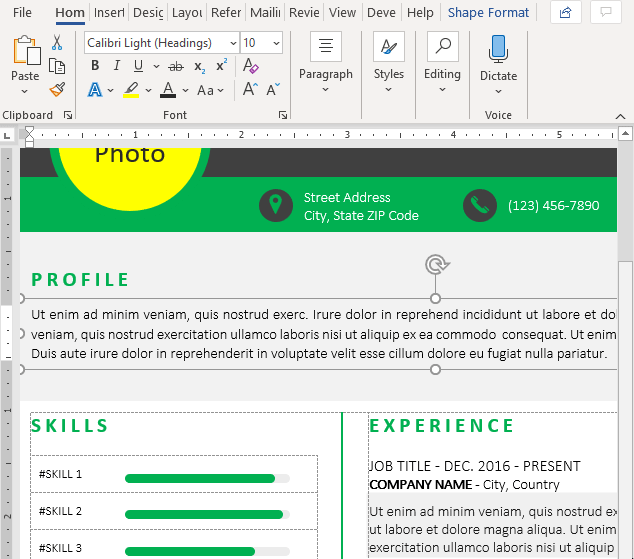 Feldberg Resume Template - View Gridlines Layout (Word)