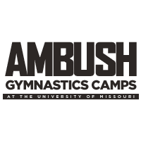 Ambush Gymnastics Camps