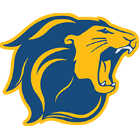 Lions Baseball Camps