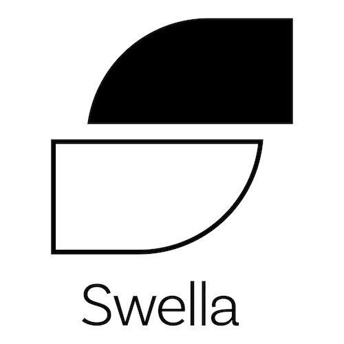 Swella Braid Studio Decatur