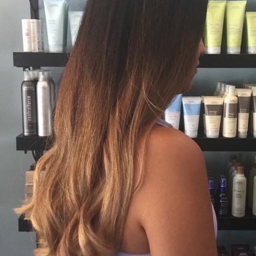 Hair Salons in Highland Park, Illinois Salon Lofts in Highland Park