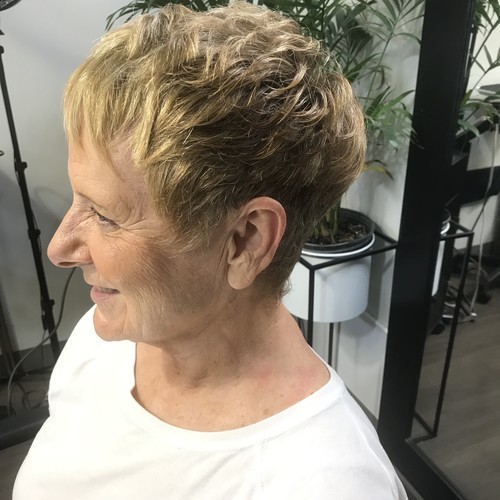 Hair Salons in Tampa, Florida Salon Lofts in Tampa Carrollwood