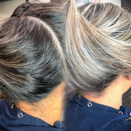 Hair Salons in Evanston, Illinois Salon Lofts in Evanston Evanston