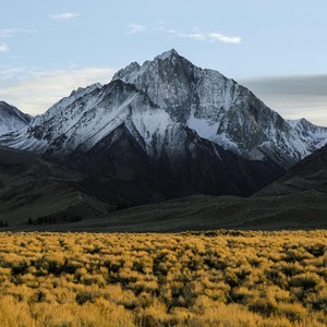 Jeremy bishop dr q93lfatw unsplash