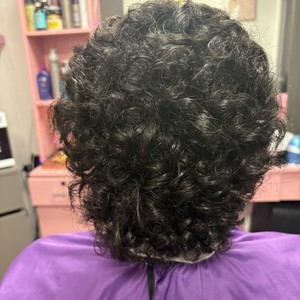 Img 0809