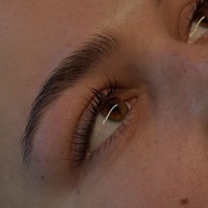 Img 7375