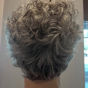 Img 0213
